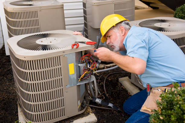 Best HVAC maintenance near me  in Spring Grove, IL